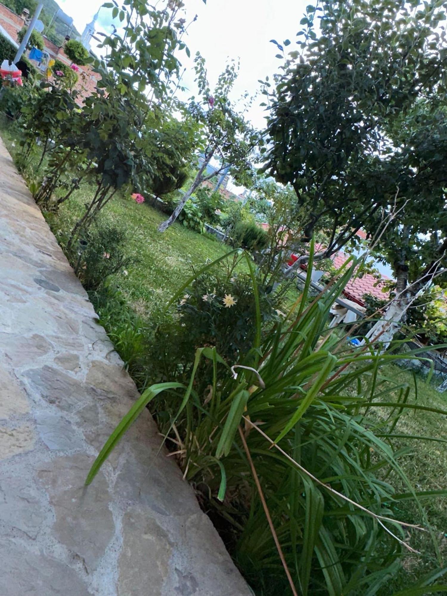 Gardenhouse Villa Memlishte Kültér fotó