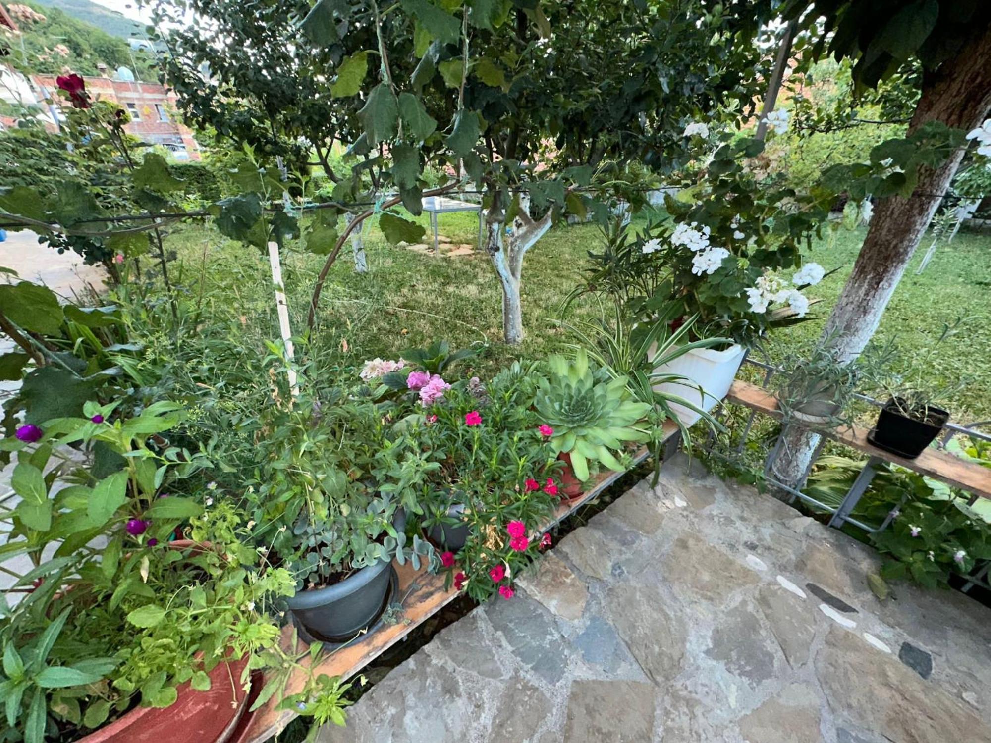 Gardenhouse Villa Memlishte Kültér fotó